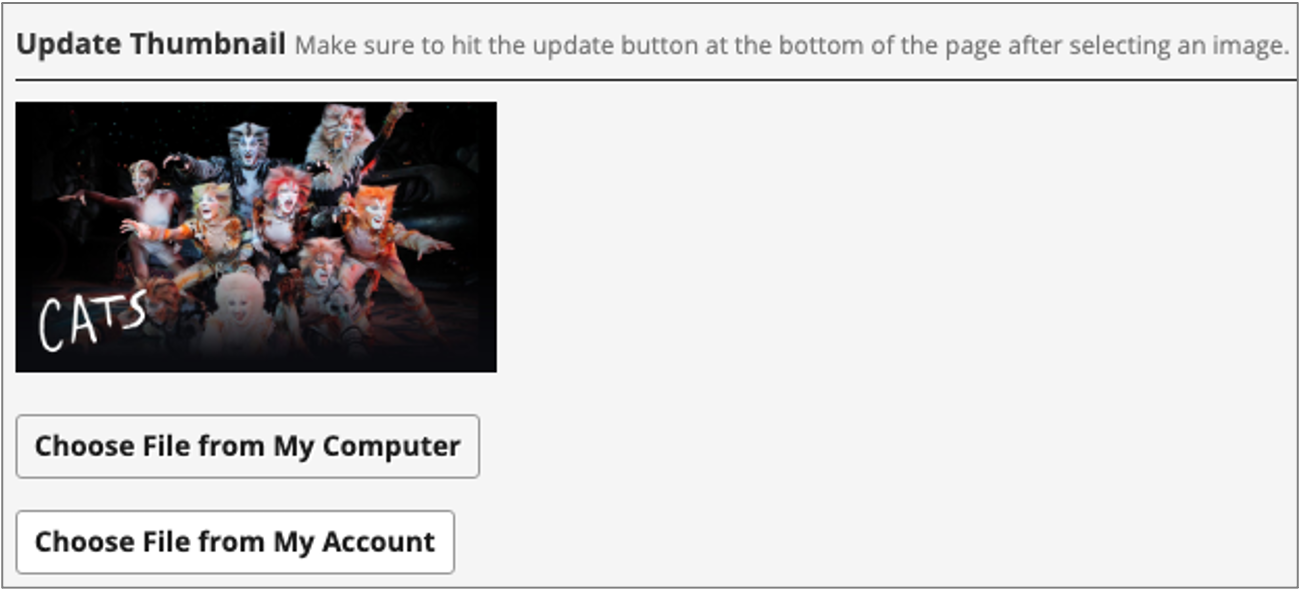 Video Thumbnail Option