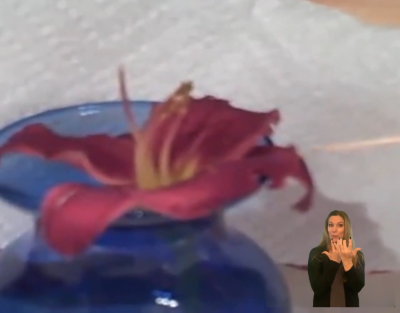 Picture-in-Picture compatibility – My Studio Picture-in-Picture compatibility within My Studio - ASL Interpreter interpreting video about the parts of a flower